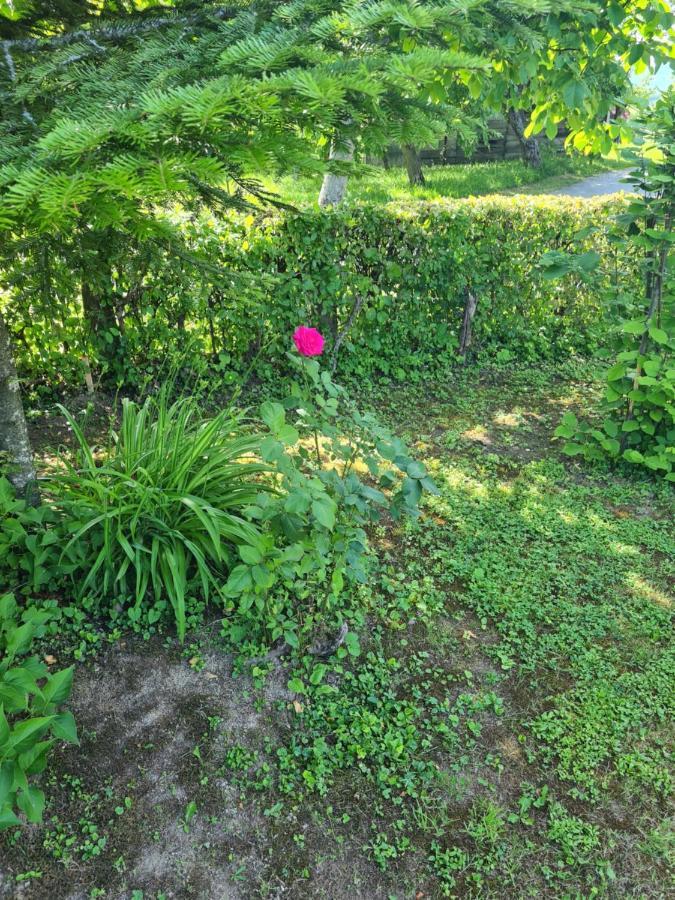 Holiday Home Hizica V Plavem Trnacu Gornja Stubica Esterno foto