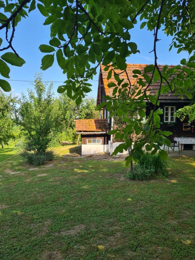 Holiday Home Hizica V Plavem Trnacu Gornja Stubica Esterno foto
