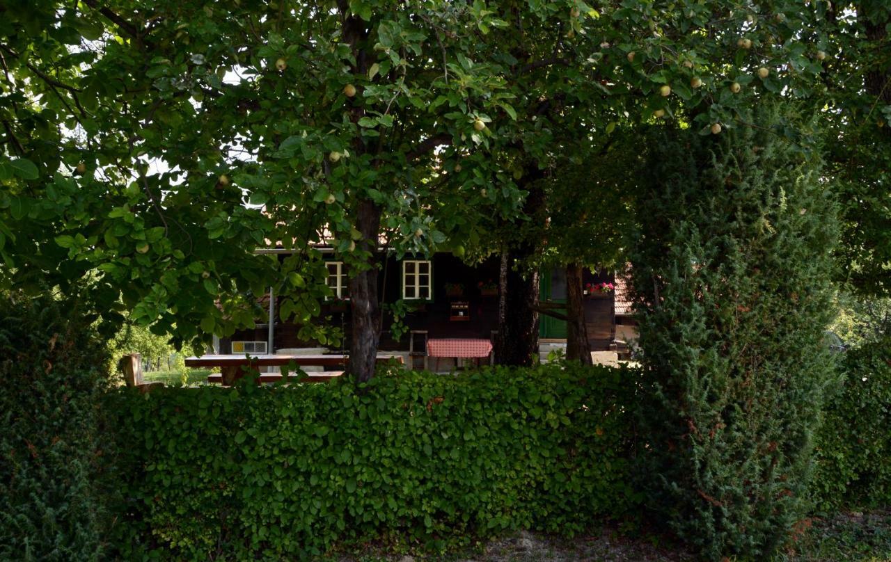 Holiday Home Hizica V Plavem Trnacu Gornja Stubica Esterno foto