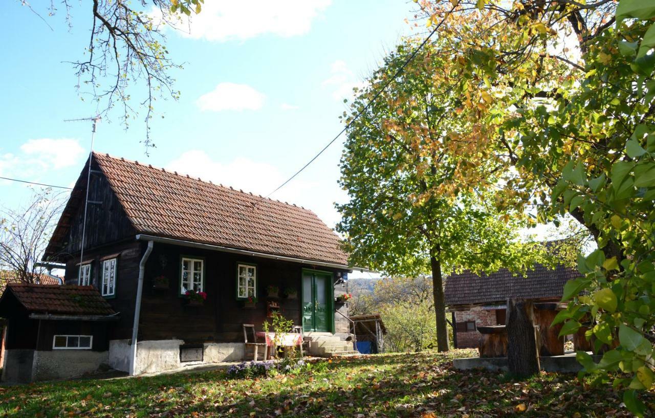 Holiday Home Hizica V Plavem Trnacu Gornja Stubica Esterno foto