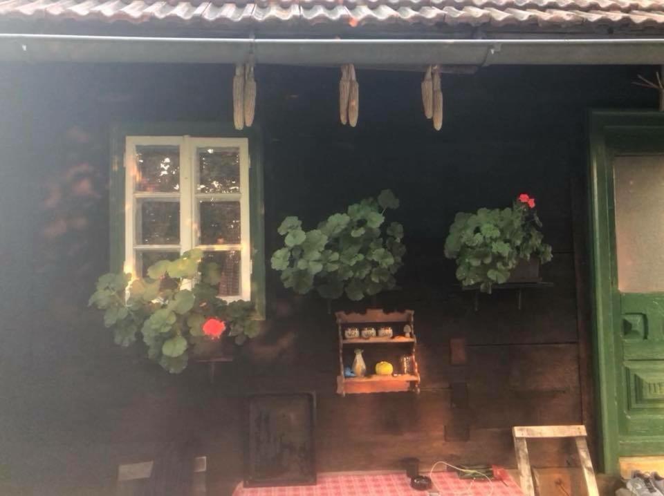 Holiday Home Hizica V Plavem Trnacu Gornja Stubica Esterno foto